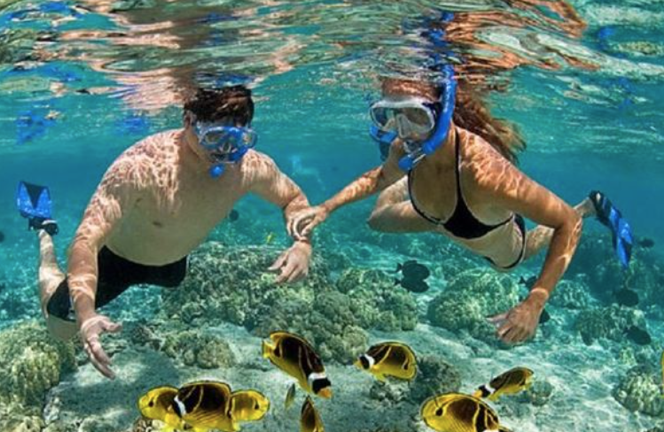 Best Beaches For Snorkeling In Puerto Rico Isla Verde Beach