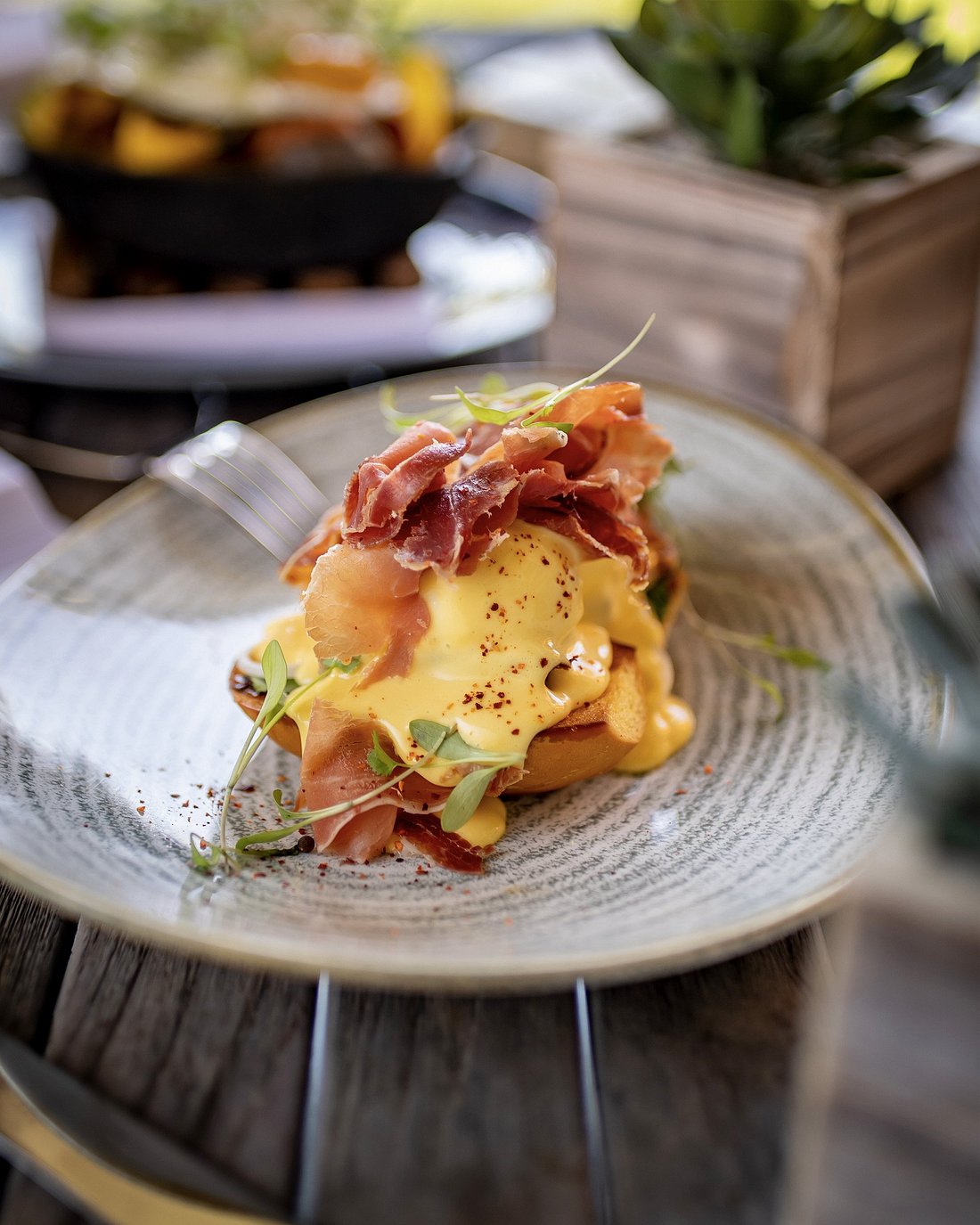 Cana At Fairmont San Juan Bacon Egg Cheese Bagel Isla Verde Beach