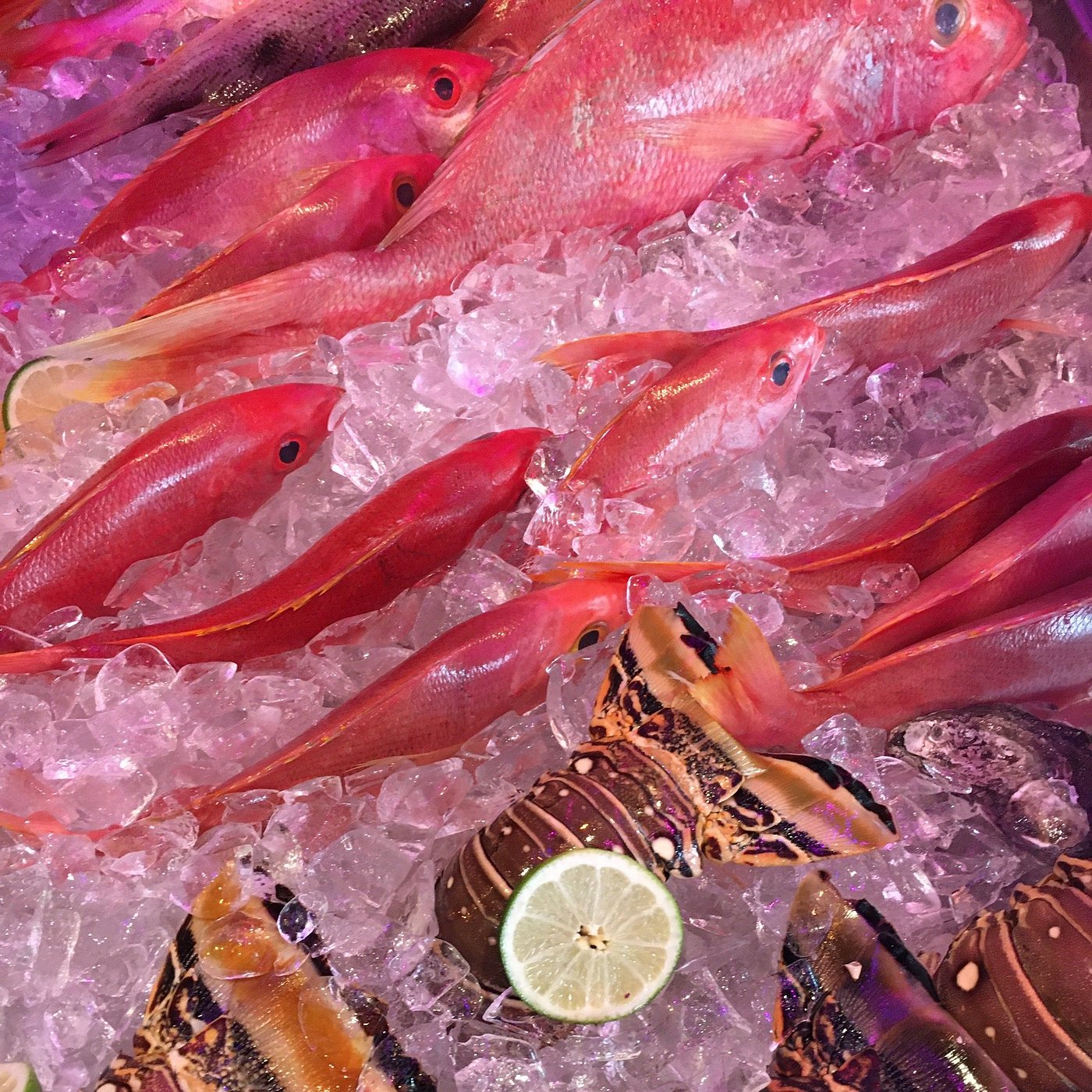 Cayo Caribe Isla Verde Beach Salmon