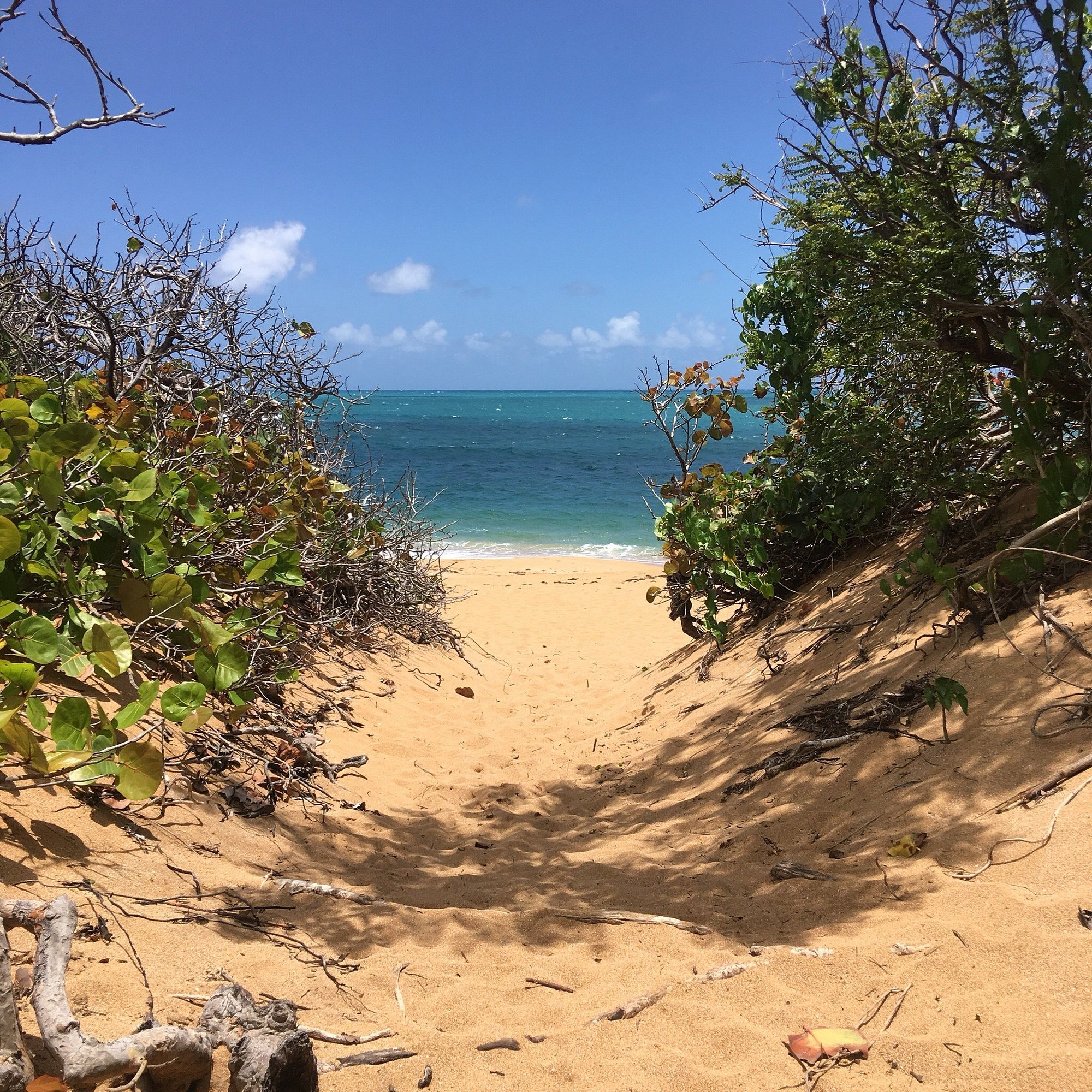 Seven Seas Beach Caribbean View